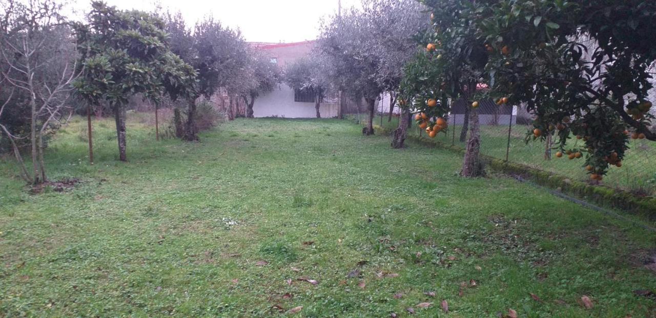 Casa Do Adro Villa Arcozelo  Eksteriør bilde